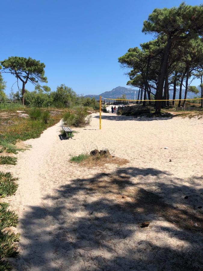 Duplex Renove Les Pieds Dans L'Eau Apartment Calvi  Bagian luar foto