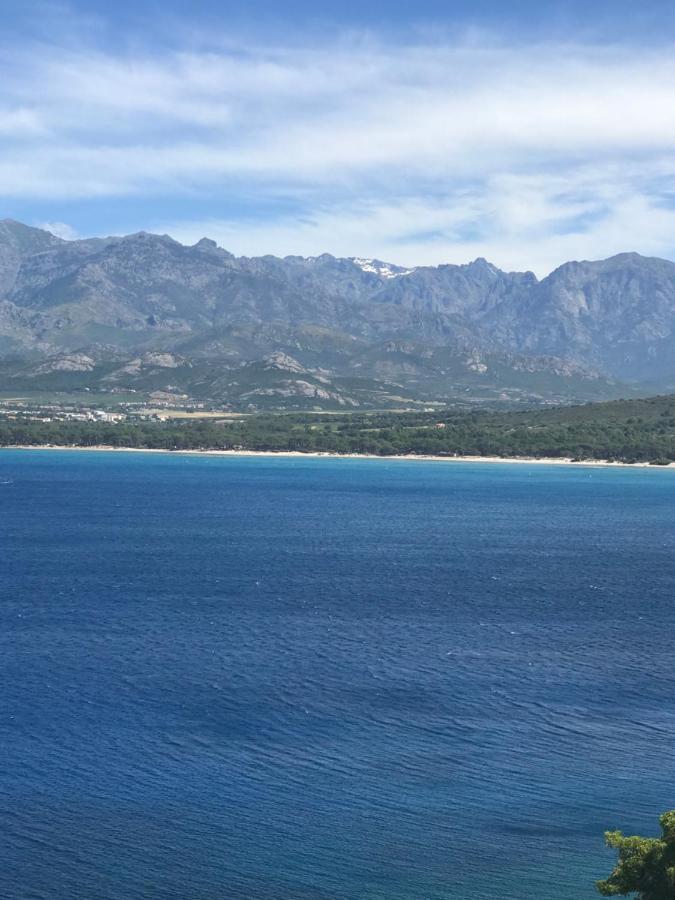 Duplex Renove Les Pieds Dans L'Eau Apartment Calvi  Bagian luar foto