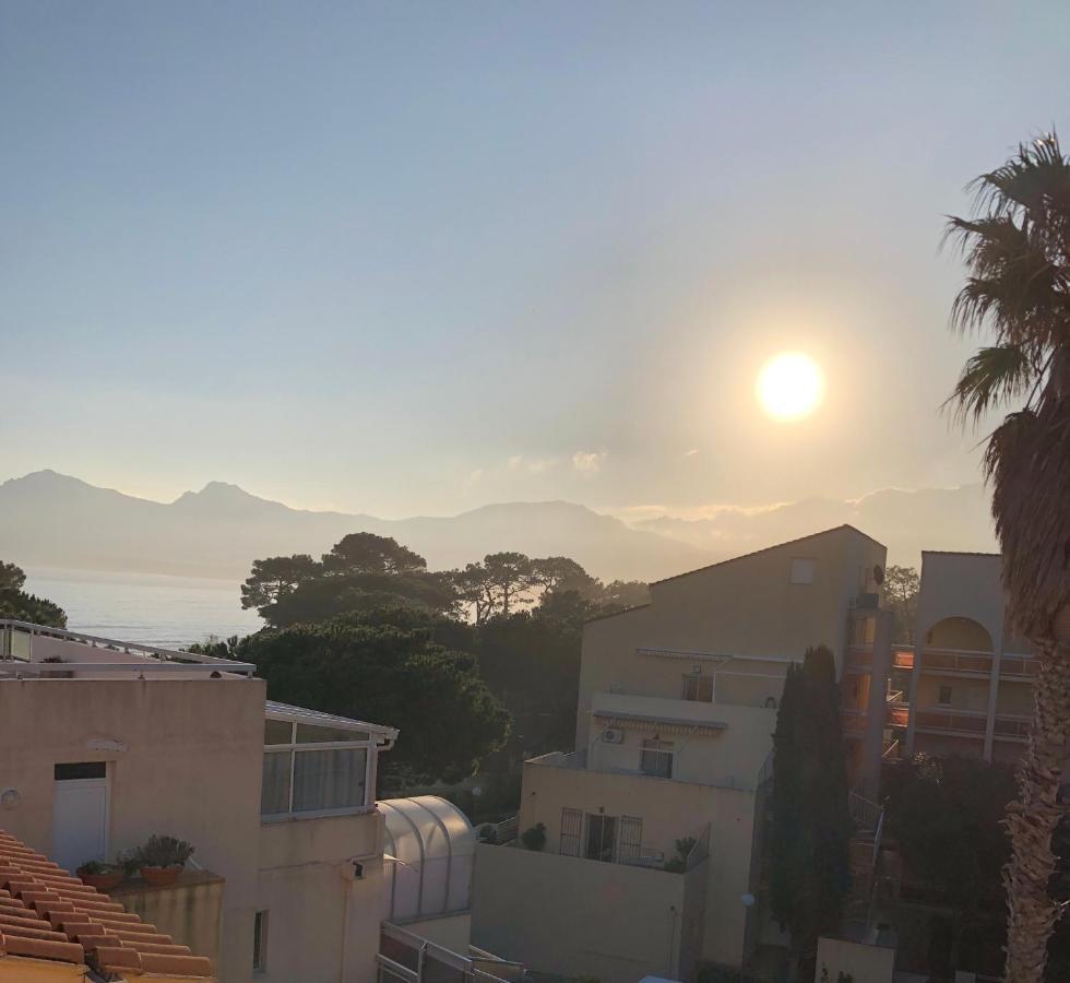 Duplex Renove Les Pieds Dans L'Eau Apartment Calvi  Bagian luar foto